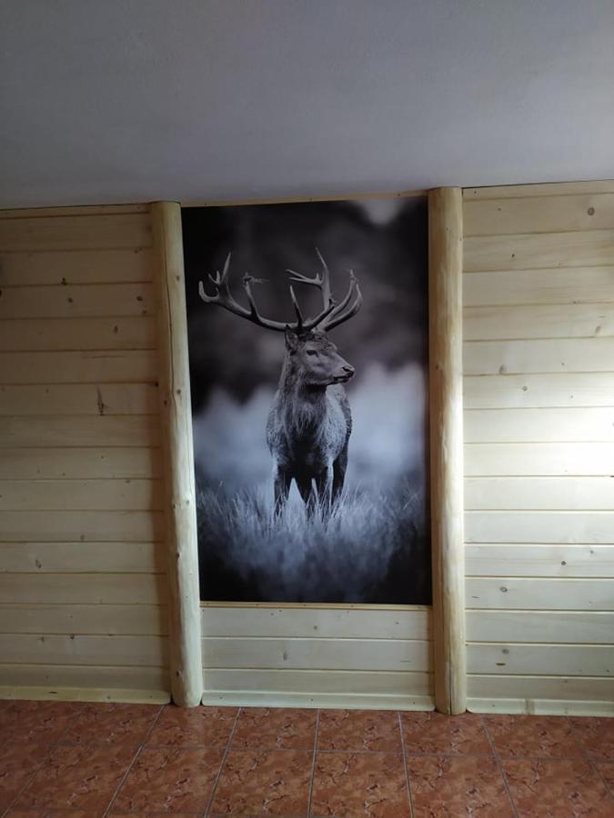 Janos Pokoje Goscinne Bialka Tatrzanska Bagian luar foto
